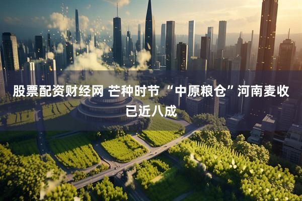 股票配资财经网 芒种时节 “中原粮仓”河南麦收已近八成